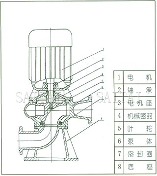 LW型直立式無堵塞排污泵結構圖