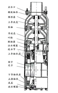 QSP潛水電泵結構簡圖