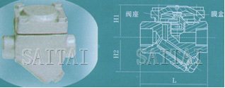 高溫高壓膜盒式蒸汽疏水閥結構圖2