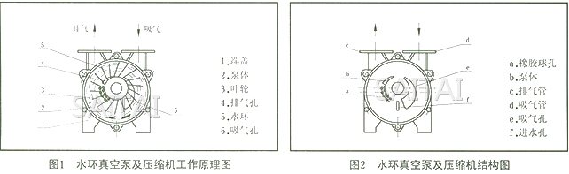 SK真空泵結構圖1